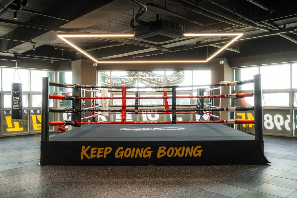 세종 복싱장 링: KEEP GOING BOXING 문구가 들어간 링과 천장의 사각 라인 조명