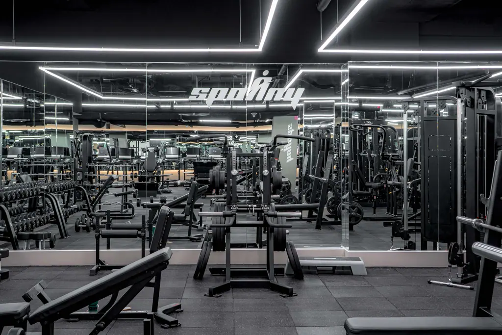 스포애니 교대역점 웨이트 존: 거울 벽과 사각 라인 조명 아래 놓인 벤치와 머신